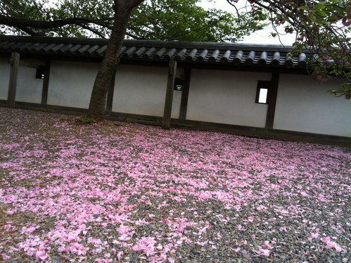 b0174284_115954.jpg