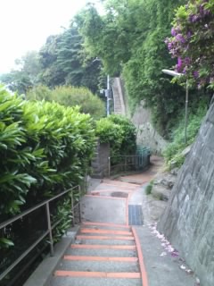 c0035386_9594291.jpg