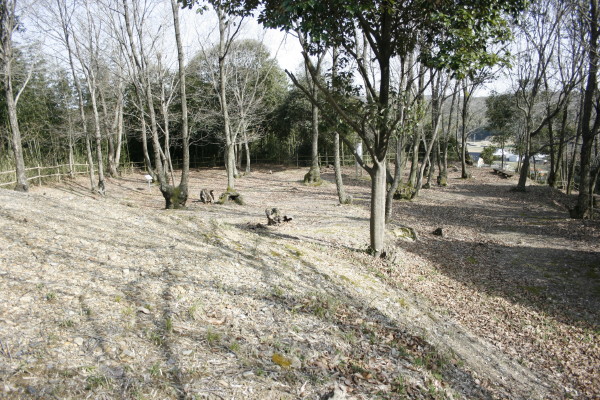 b0118987_802149.jpg
