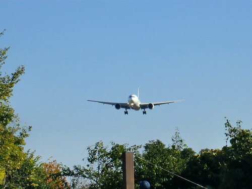 e0240190_933723.jpg