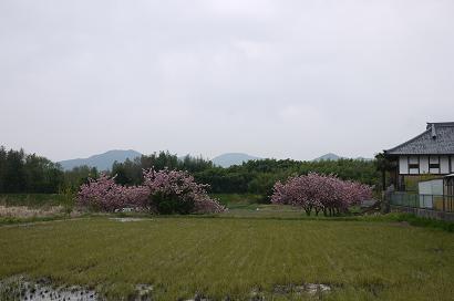 f0226293_8295746.jpg