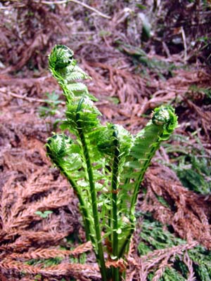 e0140496_20442394.jpg