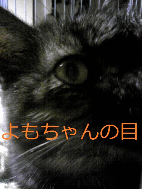 a0232197_2151084.jpg