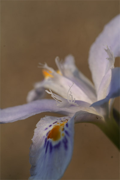 e0189298_22254353.jpg