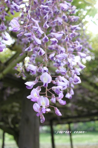 c0222400_91278.jpg