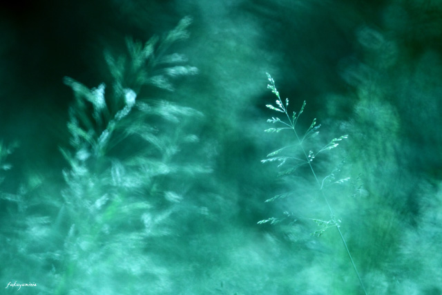 f0185802_2284571.jpg