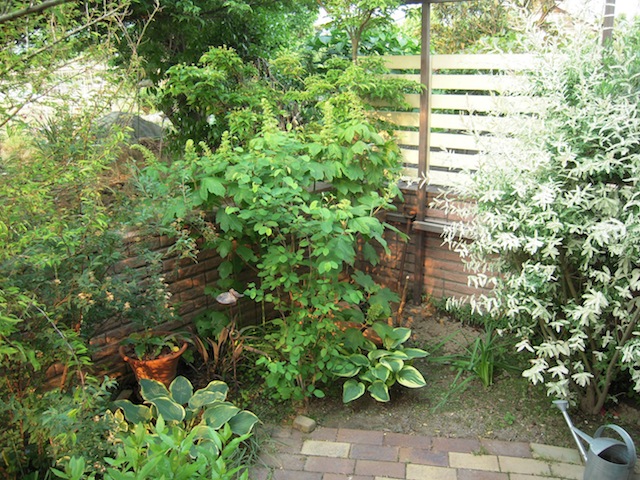 e0271409_2014386.jpg