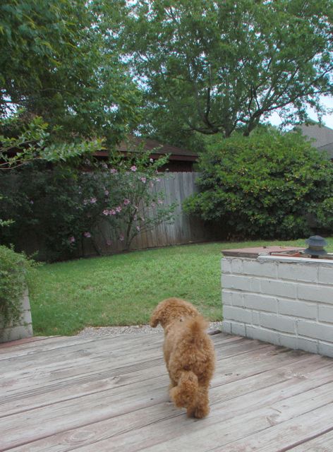 f0227709_14194260.jpg
