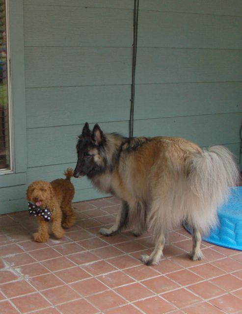f0227709_14195061.jpg