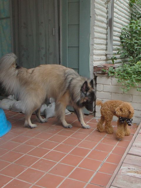 f0227709_14195168.jpg