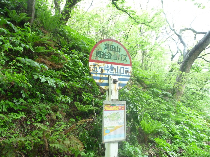 f0225414_23204555.jpg