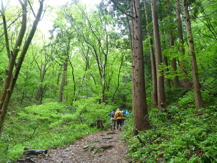f0225414_23343130.jpg