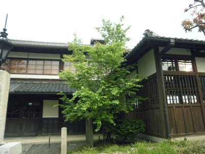c0035116_225932100.jpg