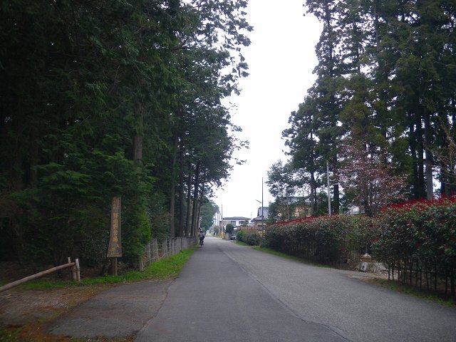 a0243317_20534960.jpg