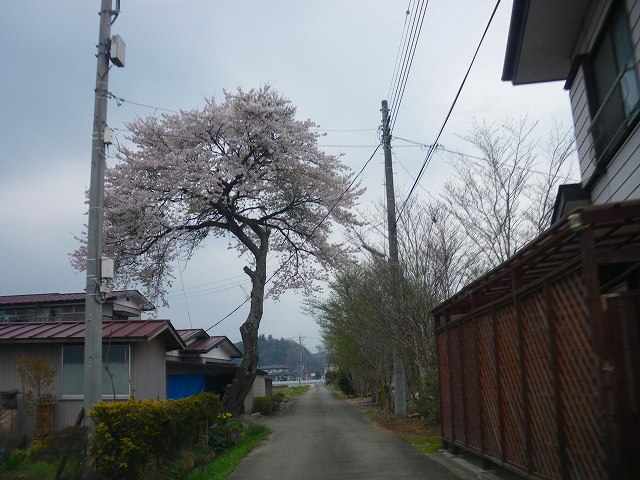 a0243317_20545468.jpg