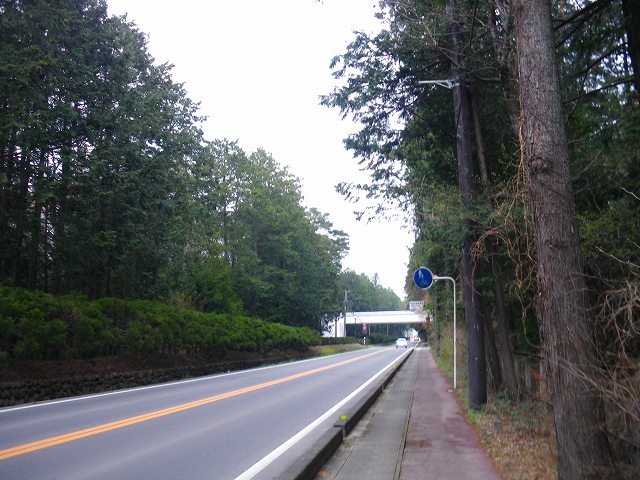 a0243317_2154652.jpg
