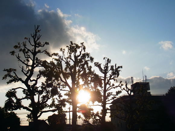 e0083517_0193355.jpg