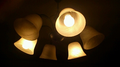 f0029717_1051624.jpg
