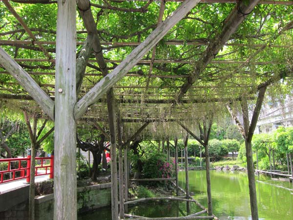 f0147025_205157.jpg