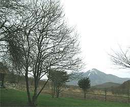 c0079227_1333064.jpg