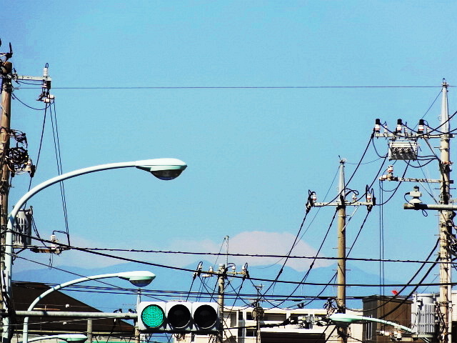 e0016828_1255612.jpg