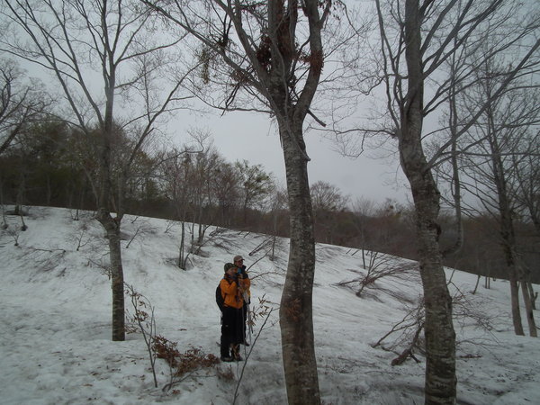 f0118332_030551.jpg