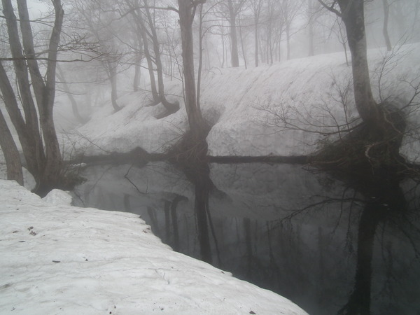 f0118332_0321114.jpg