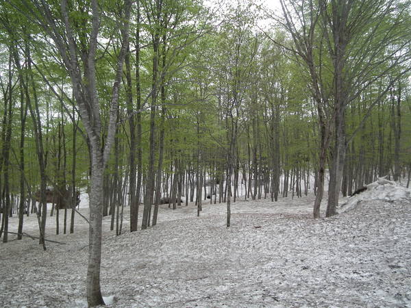 f0118332_0325031.jpg