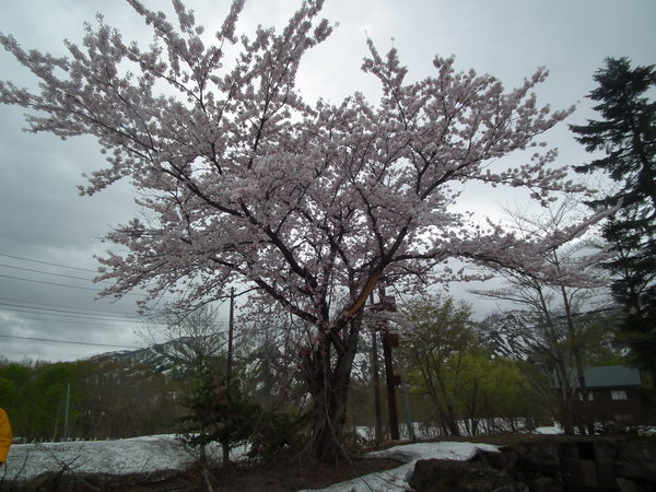 f0118332_0344928.jpg