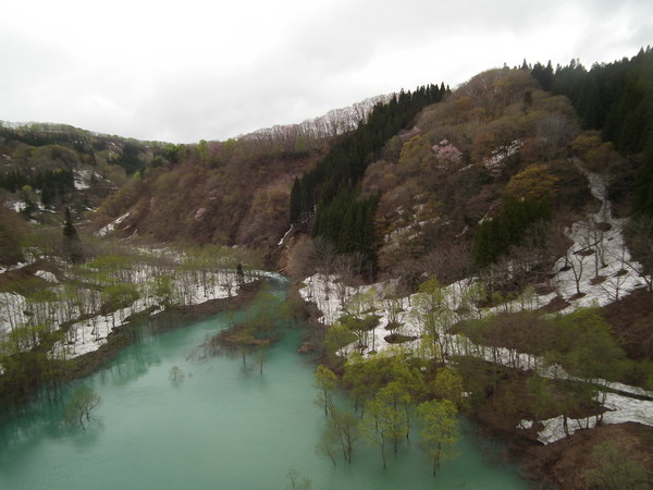 f0118332_040182.jpg
