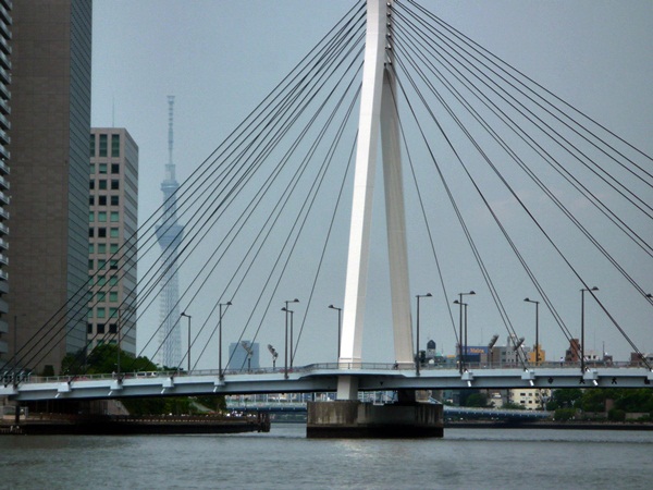 d0037233_14232546.jpg