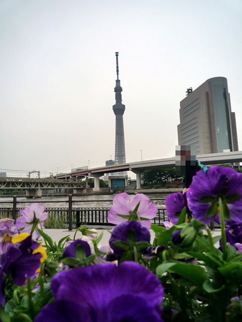 d0037233_1438169.jpg