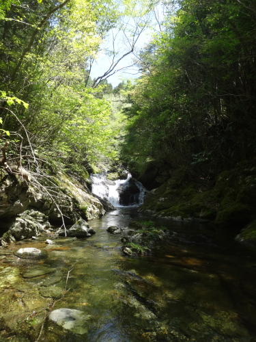 a0156834_0441255.jpg