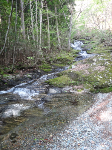 a0156834_125430.jpg