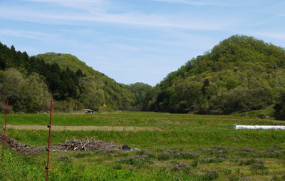 b0035734_19254855.jpg