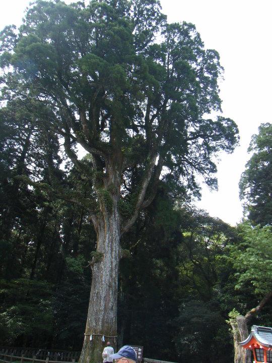 b0102639_9545114.jpg