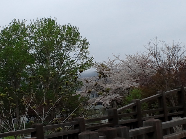 c0117239_1055439.jpg