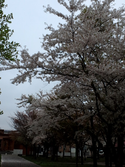 c0117239_1095920.jpg
