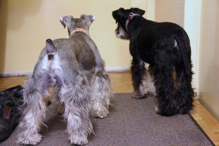 c0153740_3205041.jpg