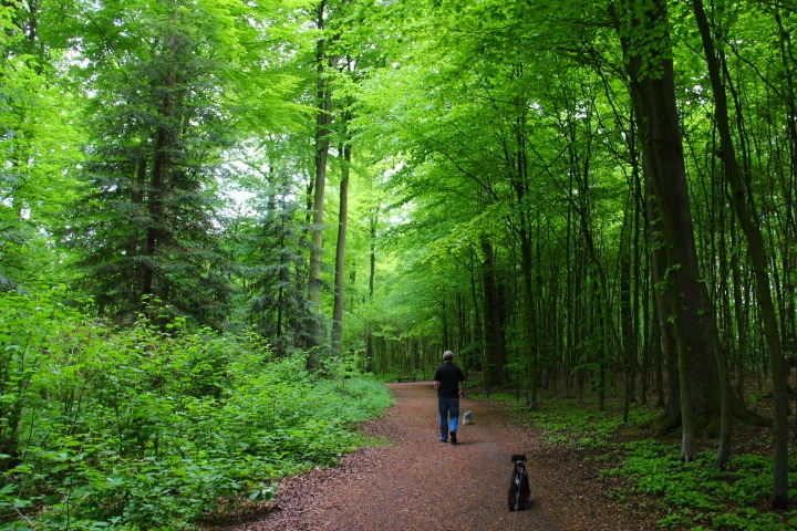 c0153740_323680.jpg