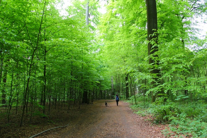 c0153740_3282313.jpg