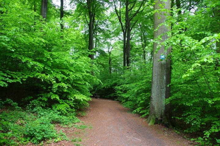 c0153740_329439.jpg