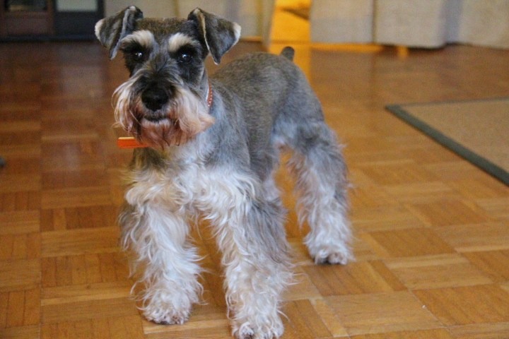 c0153740_3412593.jpg