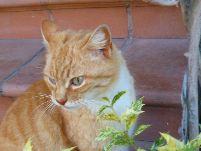 d0170140_0395134.jpg