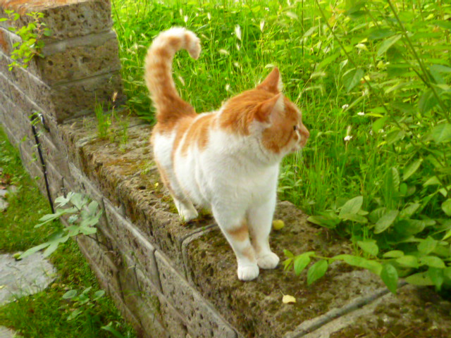 d0170140_0445769.jpg