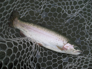 f0065341_1445837.jpg