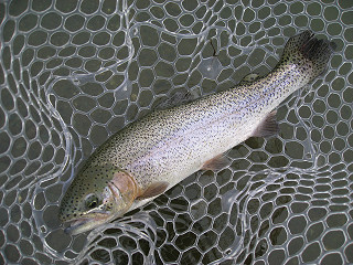 f0065341_14484430.jpg