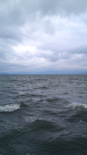 f0178153_844735.jpg