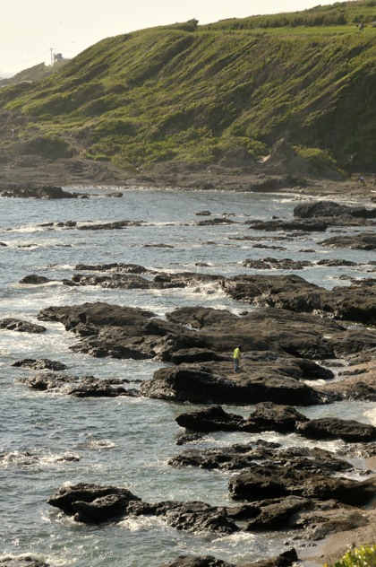 e0131355_22101261.jpg