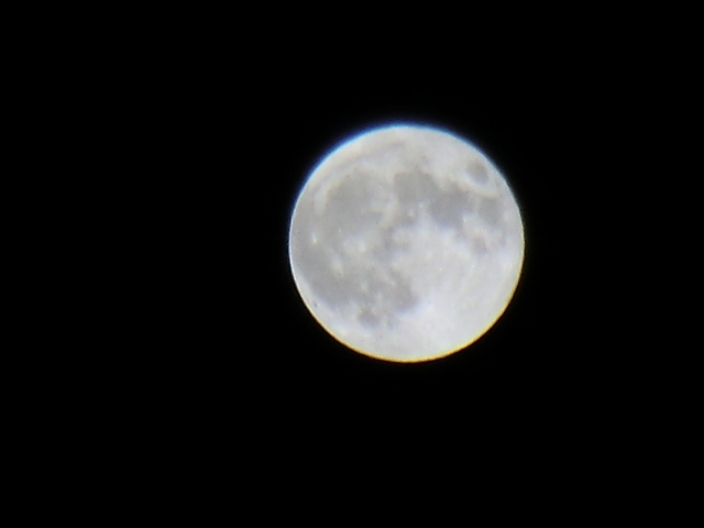 e0033156_3382884.jpg